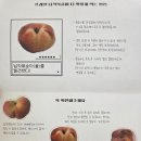 프레델 - 강남구 논현로97길 29 | 프레델