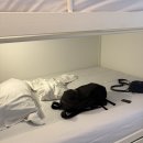 올레민박 | 스페인 포르투갈 숙소(한인민박, 호스텔, 에어비앤비) 후기 / 일루올레, 벨라포르투, room00, 세비야...