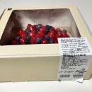 (12/1)과일 치즈타르트 | 코스트코 일년에 딱한번 딸기 프로마쥬 타르트 내돈내산 솔직 후기 추천