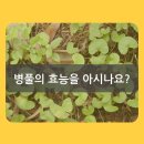 진선미화장품 - 영주시 중앙로 92 | 진선미화장품