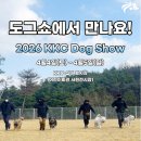 show dog 이미지