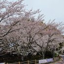 대흘보건진료소 이미지