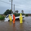 강정동-37 이미지