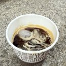 꼬레아24