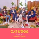 장보는고양이