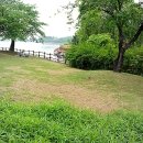 바니호프 이미지