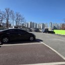 충렬로가로수 이미지