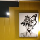 호텔박스 이미지