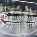 북부엘치과의원 이미지