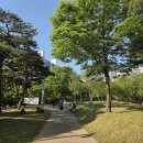 신가네매운떡볶이 - 서구 관저중로64번길 58 | [대전 송촌동 맛집]신가네 매운떡볶이/최애 떡볶이집/내돈내산 후기