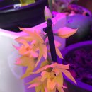 오늘의 선물 이미지