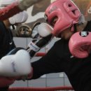 대한권투체육관 이미지