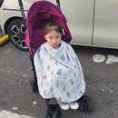 대교카 | 전남 아이랑 가볼만한 곳 여수해상케이블카 일반캐빈 돌산대교 내돈내산 이용후기