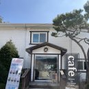삼하리 | [경기도 양주] 고양 스타필드 근처 애견입장료 없는 애견동반카페 추천 | 카페 삼하리