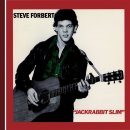 Steve Forbert - I'm in Love with You(1979) 이미지