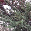 해달별펜션 이미지