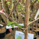 대림가든 이미지