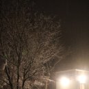 나무사이에 자연속으로 이미지