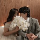 탄천로 | 판교 WS스튜디오 웨딩촬영 솔직후기｜자연광·인물 중심 스튜디오 리뷰