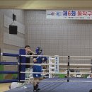 태태복싱 GYM 이미지