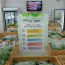 우리농산물야채