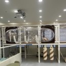 별숲 | 안양 유아 키즈카페 군포 별숲 대관 내돈내산 후기