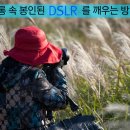 비싼 DSLR 사 놓고 장롱속에 묻어둔 분들을 위한 조언들 이미지