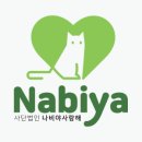 고양이병원 소설 이미지