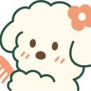 댕댕이살롱 이미지