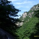 무릉도원 이미지