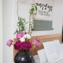 브니엘플라워 이미지