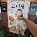 고미당 | 봉선동 베이커리 카페 고미당 버터 풍미와 결이 살아있는 크루아상과 소금빵까지 포장하고 옴