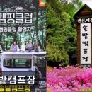 솔밭캠프장 | 영월 숙소 추천 솔밭캠프장 영월 솔밭캠프장, 깨끗하고 조용한 캠핑지