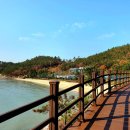 지니비치향 이미지