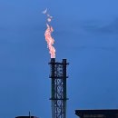 김우리식당 | 포항 한 달 살기 아니고 포스코 스틸브릿지 후기(2)