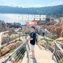 대왕암공원타워주차장화장실 | 자연의 아름다움을 느낄 수 있었던 대왕암공원 방문 후기!
