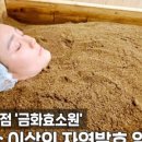 금화효소원 - 제주시 월랑북길 1-10 | 금화효소원