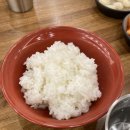미락본가 | [둔산동맛집]미락본가 신상맛집 다녀왔어욤 내돈내산후기