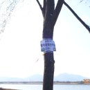 지천면사무소 이미지