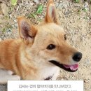 하피 - 강서구 마곡동로10길 46 | 하피