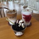 시선목장 | 제주 목장 카페 '밭디(batti)' 아이와 다녀온 제주 승마 체험 솔직후기