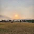 댕바라기 | 구리한강시민공원에서 반려견과 텐트 피크닉, 가을 나들이로 딱!