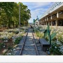 고잔역뒤편 이미지