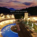 소토보체 이미지