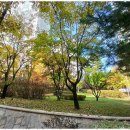 마곡명가부동산공인중개사사무소 이미지