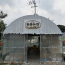 초계농장 | 안산 선부동 맛집 칼국수 추천 <토담옥> 안산 맛집 추천