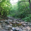 계곡 Daum카페