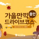 [건강TIP]가을만끽 용인 드라이브 코스를 알려드립니다! 이미지