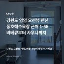 동호바다펜션민박 | 양양펜션 1-56 펜션 동호해수욕장 앞 전객실 오션뷰 숙소 후기