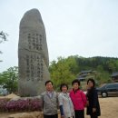 자양초등학교 Daum카페